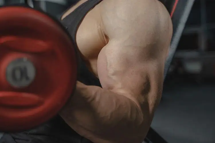 SARMs bestellen Deutschland